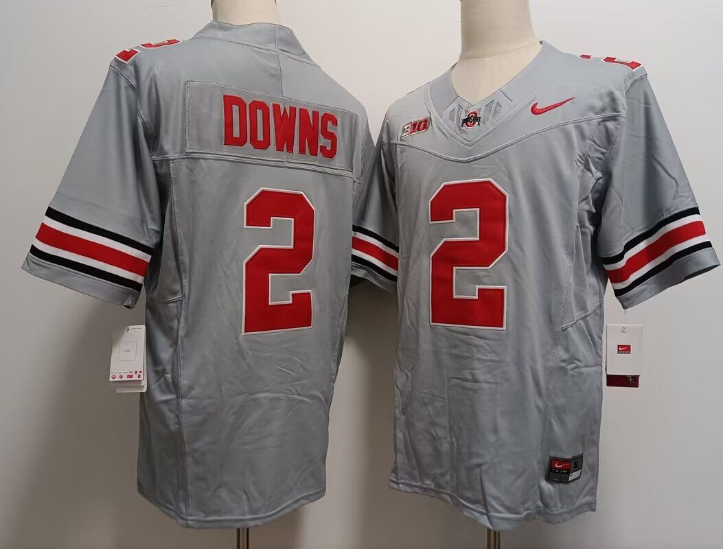 NCAA Men Ohio State Buckeyes #2 Caleb Downs grey Nike jersey